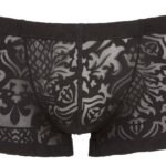 Svenjoyment - Gjennomsiktig boxer med mønster 