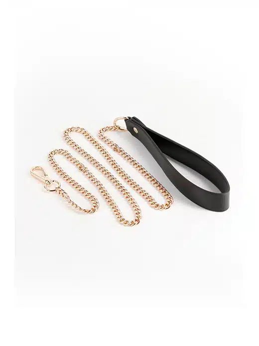 281289-lenke-fetish-fashion-leash-gull-gold Fetish & Fashion - Nyx Lenke i gullfarge - Bilde 1