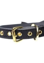 Master Series - Kitty collar med bjelle - svart