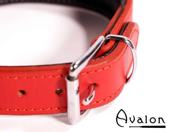 Avalon - DECLARE - Klassisk Collar med O-ring Rødt og Svart
