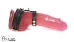 Avalon - ENDURENCE - Cock & Ball Harness med Spenner - Svart