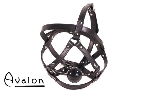 Avalon - TRAPPED - Hodeharness i lær med gag