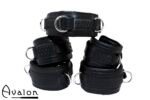 Avalon - LUST - Collar og Cuffs, 5 deler, Sort