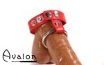 Avalon - NOBLE - Penisring i Metall og Reim til Pung i Lær - Rød