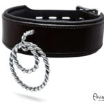 avalon nieve collar