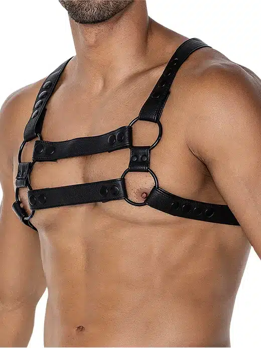 h4rness-by-c4m-4way-harness-black_01 C4M H4rness