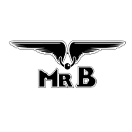Mister B