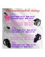 The Vice Clitty - Chastity Set - Kuklås sett - Rosa