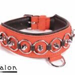 Avalon - WORSHIP - Collar med spisse nagler, ringer og D-ring - Rød og sort