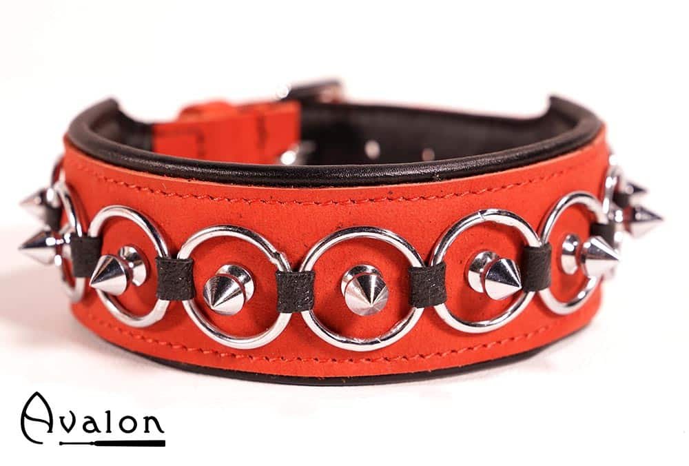 Avalon - CHERISHED - Collar med Spisse Nagler og Ringer - Rødt og Svart Avalon - CHERISHED - Collar med Spisse Nagler og Ringer - Rødt og Svart