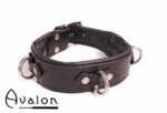 Avalon - VICTORY - Enkelt Collar med D-ringer og polstring, Sort