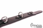 Avalon - VICTORY - Enkelt Collar med D-ringer og polstring, Sort