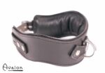 Avalon - GUARDED - Collar med god Polstring, Svart