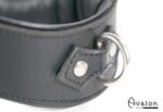 Avalon - GUARDED - Collar med god Polstring, Svart