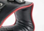 Avalon - CONQUER - Collar med god polstring, Svart og Rødt