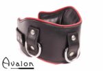 Avalon - CONQUER - Collar med god polstring, Svart og Rødt
