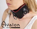 Avalon - CONQUER - Collar med god polstring, Svart og Rødt