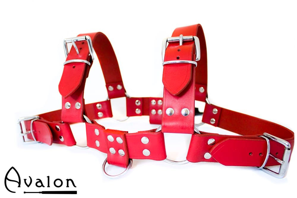 Avalon - BLAZON - Harness Rød Avalon - BLAZON - Harness Rød