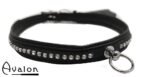 Avalon - GAIUS - Enkelt Collar blanke stener
