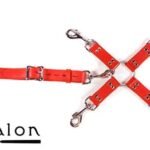 Avalon - SACRED - Hog-tie-sett med 5 deler - Rød