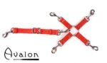 Avalon - SACRED - Hog-tie-sett med 5 deler - Rød