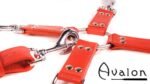 Avalon - SACRED - Hog-tie-sett med 5 deler - Rød