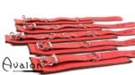 Avalon - DENY - Collar og Cuffs, 5 deler, Rødt