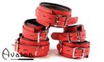 Avalon - DENY - Collar og Cuffs, 5 deler, Rødt