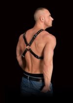 Ouch! Adonis High Halter - Harness