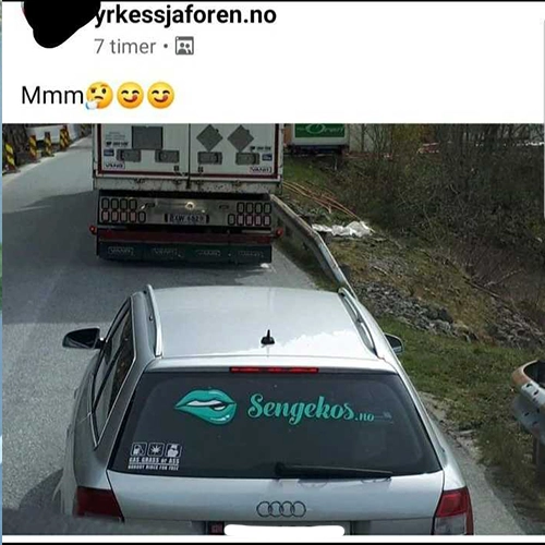 sengekos-yrkessjaafoeren